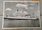 oude foto van M.S. Zaanland - Koninklijke Hollandsche Lloyd, Ophalen of Verzenden, Gebruikt, Motorboot, Kaart, Foto of Prent