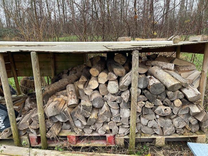 haardhout, Tuin en Terras, Haardhout, Blokken, Elzenhout, 3 tot 6 m³, Ophalen