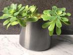 Vintage bloempotten grijze glans bio kamerplanten, Tuin en Terras, Bloempotten, Rond, Binnen, Ophalen of Verzenden, Zo goed als nieuw