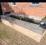 Vijver compleet met goud vissen, Dieren en Toebehoren, Vissen | Vijvervissen, Goudvis(sen)