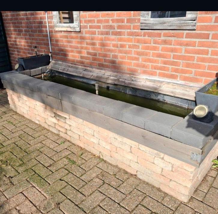 Vijver compleet met goud vissen, Dieren en Toebehoren, Vissen | Vijvervissen, Goudvis(sen)