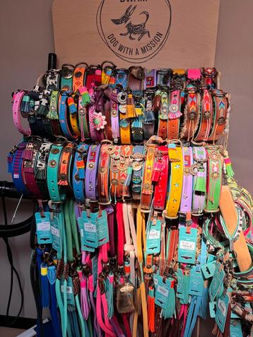 DWAM halsbanden maat XS beschikbaar voor biedingen