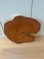 Magrove houten plank, bewerkt voor buiten, Doe-het-zelf en Verbouw, Hout en Planken, Ophalen, Minder dan 25 mm, Zo goed als nieuw