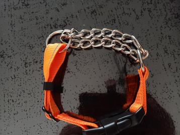 NIEUW Honden Trainingriem Oranje maat M 39-44 Cm beschikbaar voor biedingen
