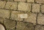 Varylight Vloerlamp - Messing, Dimbaar, 185cm, Ophalen, Gebruikt, Metaal, 150 tot 200 cm