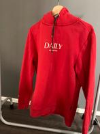 Hoodie maat m daily aesthetikz, Kleding | Heren, Truien en Vesten, Ophalen of Verzenden, Zo goed als nieuw