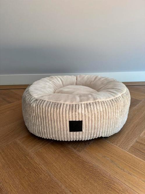 Designed by Lotte | Kattenmand (nieuw), Dieren en Toebehoren, Kattenmanden, Nieuw, Ophalen