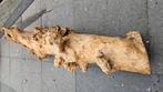 Java hout, Ophalen
