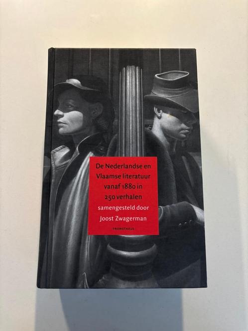 Joost zwagerman de nederlandse en vlaamse literatuur 1880!, Boeken, Literatuur, Zo goed als nieuw, Nederland, Ophalen of Verzenden