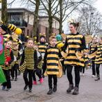 Carnavalskleding Groep - 27 stuks!, Kleding | Dames, Carnaval, Maat 46/48 (XL) of groter, Ophalen of Verzenden, Kleding