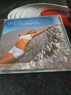 WELLNESS FROM BODY &SOUL, Cd's en Dvd's, Ophalen of Verzenden, Zo goed als nieuw, Streekmuziek