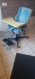 Aangepaste kinderstoel op wielen, Ophalen, Gebruikt, Overige typen, Gordel(s)