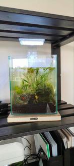Aquarium complete, Ophalen, Zo goed als nieuw