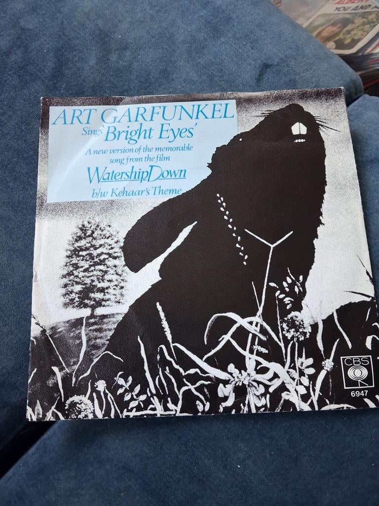 Art garfunkel bright  eyes, Cd's en Dvd's, Vinyl Singles, Ophalen of Verzenden, Zo goed als nieuw, Pop