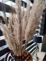 Mooie Pampas pluimen, Huis en Inrichting, Ophalen of Verzenden, Zo goed als nieuw