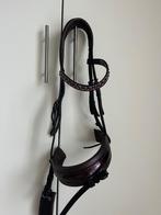 Tess hoofdstel full, Ophalen of Verzenden, Zo goed als nieuw, Dressuur