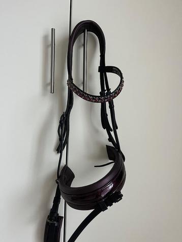 Tess hoofdstel full beschikbaar voor biedingen