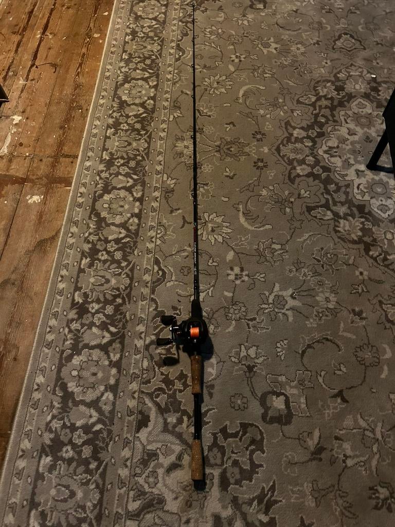 reel hengel, Watersport en Boten, Hengelsport | Roofvissen, Ophalen of Verzenden, Zo goed als nieuw, Werphengel