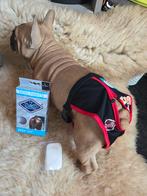 16 x dogpants, Dieren en Toebehoren, Ophalen, Nieuw