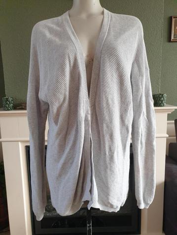 Sissy Boy heerlijke licht grijze cardigan vest mt M 38 40 beschikbaar voor biedingen