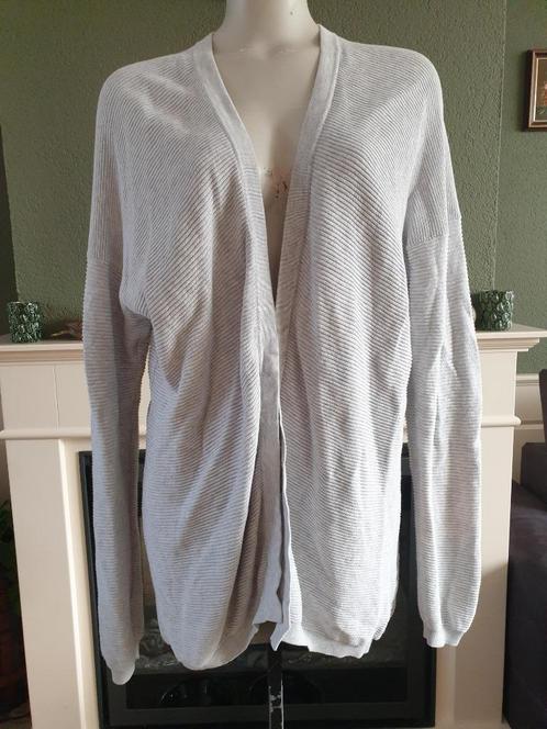 Sissy Boy heerlijke licht grijze cardigan vest mt M 38 40, Kleding | Dames, Truien en Vesten, Zo goed als nieuw, Maat 38/40 (M)