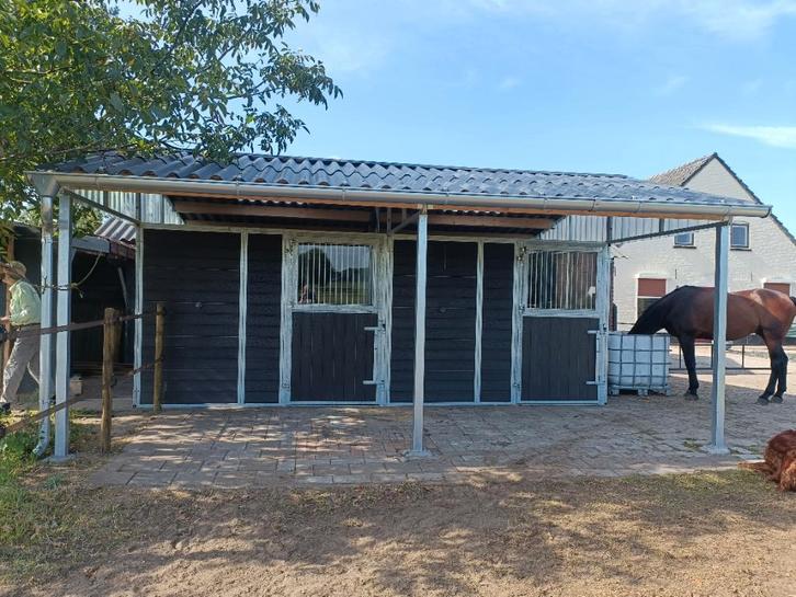 Pension plek voor paard of pony direct aan het bos, Dieren en Toebehoren, Stalling en Weidegang, Stalling, Weidegang, 1 paard of pony