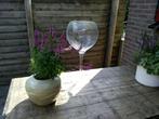 Wijn glas, Ophalen, Gebruikt, Glas, 50 tot 75 cm
