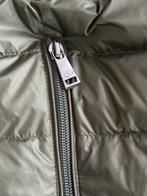 Paul & Shark donsjas - Groen XXL, Kleding | Heren, Jassen | Zomer, Ophalen of Verzenden, Nieuw, Overige maten, Groen