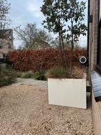 Te koop,witte kunststof bloembak, Tuin en Terras, Bloembakken en Plantenbakken, Ophalen of Verzenden, Zo goed als nieuw, Kunststof