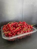 BIO Aalbessen/Rode bessen 400 gram, Ophalen