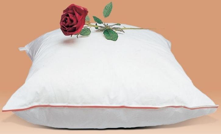 Hoofdkussen Classic.  Anti Nekpijn., Huis en Inrichting, Woonaccessoires | Kussens, Nieuw, Wit, Rechthoekig, Ophalen of Verzenden