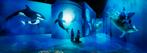 5 tickets voor fabrique des lumière 22 augustus 11 uur, Tickets en Kaartjes, Overige Tickets en Kaartjes, Twee personen