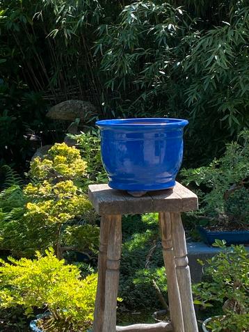 Bonsai grote cascadepot op leeuwepootjes beschikbaar voor biedingen