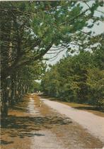 DWINGELOO Bospad, Verzamelen, Ansichtkaarten | Nederland, Verzenden, 1960 tot 1980, Ongelopen, Drenthe