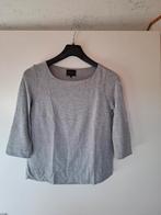 Lichtgrijs truitje, Josephine&Co,  S, Kleding | Dames, Tops, Josephine & Co, Ophalen of Verzenden, Zo goed als nieuw, Lange mouw