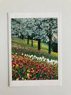 Lennart en Sonja Bernadotte, bedankje verjaardagen drukwerk, Ophalen of Verzenden, Zo goed als nieuw, Kaart, Foto of Prent