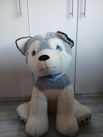 Mega grote knuffel hond Husky, Ophalen, Zo goed als nieuw, Hond