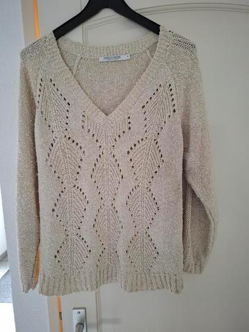 DAMES TRUI  beschikbaar voor biedingen