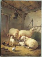 Schapen in de stal, Ophalen of Verzenden, 1980 tot heden, Gelopen, Overige soorten