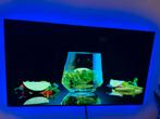 Lg oled g, Ophalen, 120 Hz, Zo goed als nieuw, 100 cm of meer