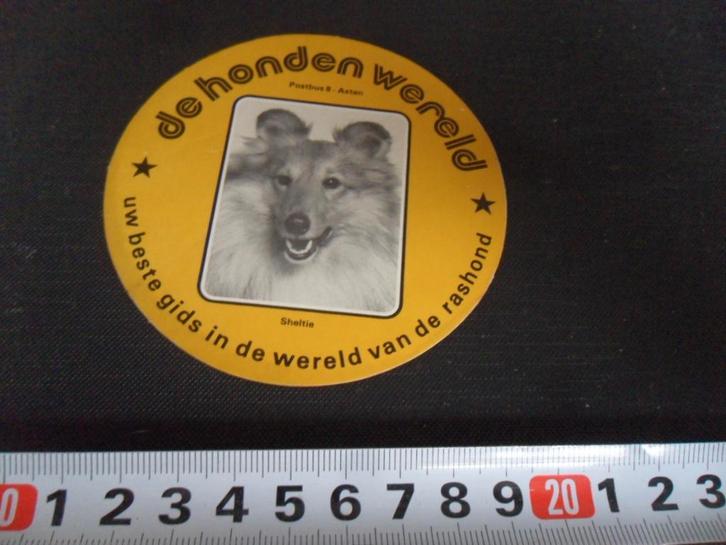 sticker hond sheltie - asten de honden wereld, Verzamelen, Stickers, Zo goed als nieuw, Ophalen