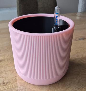 Plantenpot beschikbaar voor biedingen