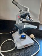 Microscoop, Audio, Tv en Foto, Optische apparatuur | Microscopen, Gebruikt, Ophalen