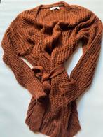 Le Pep Trui met Glitters - Maat M, Kleding | Dames, Ophalen of Verzenden, Zo goed als nieuw, Maat 38/40 (M)