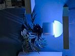 2x Philips Hue Go v2 zgan, Led-lamp, Minder dan 30 watt, Soft of Flame, Hue go