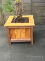 Bloembakken op maat van hardhout Azobe en bankirai, Ophalen of Verzenden, Zo goed als nieuw, Rechthoekig, Hout