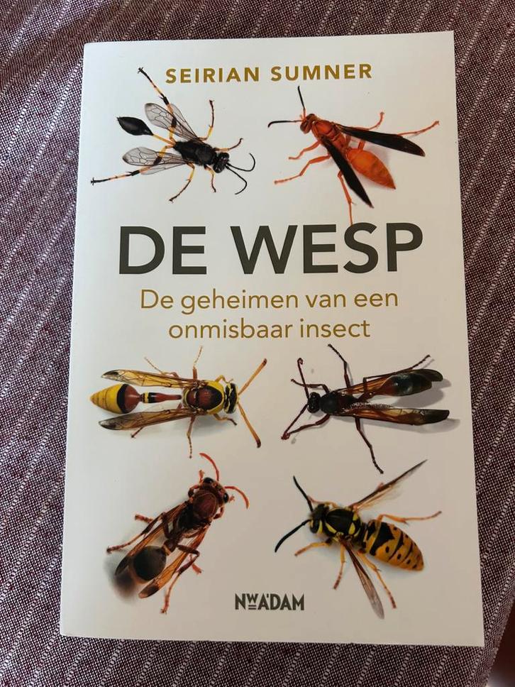 Seirian Sumner - De wesp, Boeken, Dieren en Huisdieren, Zo goed als nieuw, Ophalen