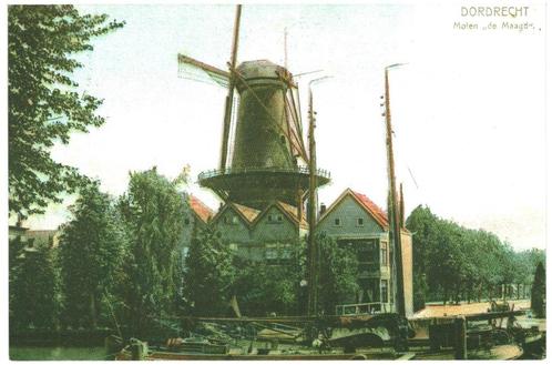 805404	Dordrecht	ZH Molen de Maagd	_Nette kaart Onbeschreven, Verzamelen, Ansichtkaarten | Nederland, Ongelopen, Zuid-Holland