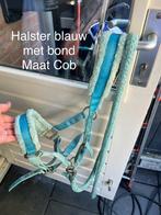 Verschillende halsters, Dieren en Toebehoren, Paarden en Pony's | Hoofdstellen en Tuigage, Ophalen, Zo goed als nieuw, Overige soorten