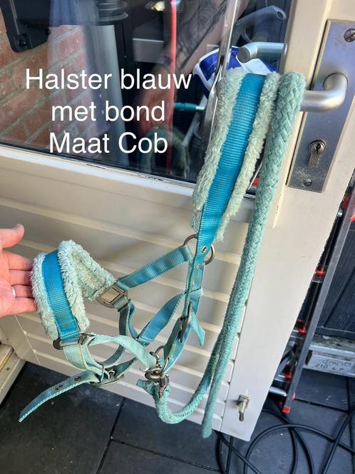 Verschillende halsters, Dieren en Toebehoren, Paarden en Pony's | Hoofdstellen en Tuigage, Zo goed als nieuw, Overige soorten